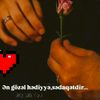 3_aylaa_3