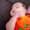 tigre_1425