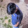 salman.ardiansyah5