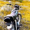 alizagondal935