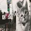 ds_dadashka