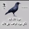 user4721630561147