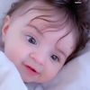 labib2321