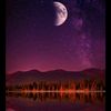dina.ahmed6431