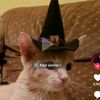 inanimateinsanity__12