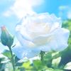 aboalwfa93