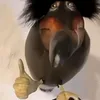 lusuyglist