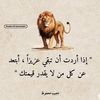 user8117099636278