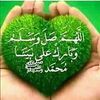 omgazalgazal438