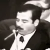 swagdamhussein