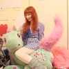 ilovehachiwareok