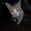 lalili171
