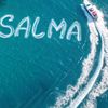 salmaahmed1745