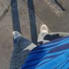 fashion_causa