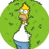 simpsonsincero.oficial