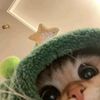 user_06060002