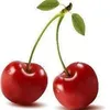 cherry.nguyen674
