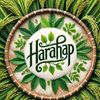 parlinharahap545