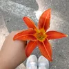 alina646182579