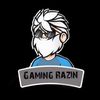 razin.pro7