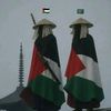 jahid6t8