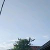 pemula.64
