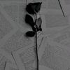 mi.corazn009