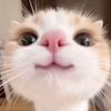 hasna_cantik123