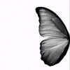 user6163060850860