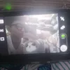 toad_sage38