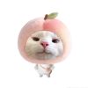 mwe.hleng.zin