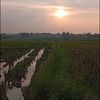 seleb9450
