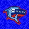 ssb.hiu.biak.2021