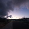 one_in_emilyon69