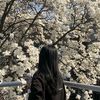 angel_moon56
