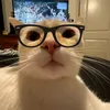 pqwueywkwue