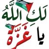 omayma.mohamed46