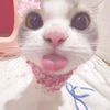 chelsea_097396