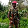 gomora.tigray
