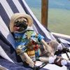 mops_pug0