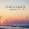 qaran774