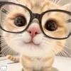 hellokitty_1088