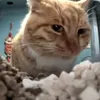 toffeeflavored