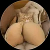 huyen.trang381