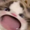 thanhmai29.8