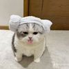 butterios