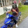 acap_pelaq