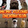 meme kucing Indonesia
