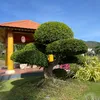sumolh6789
