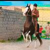 gujjar.786092
